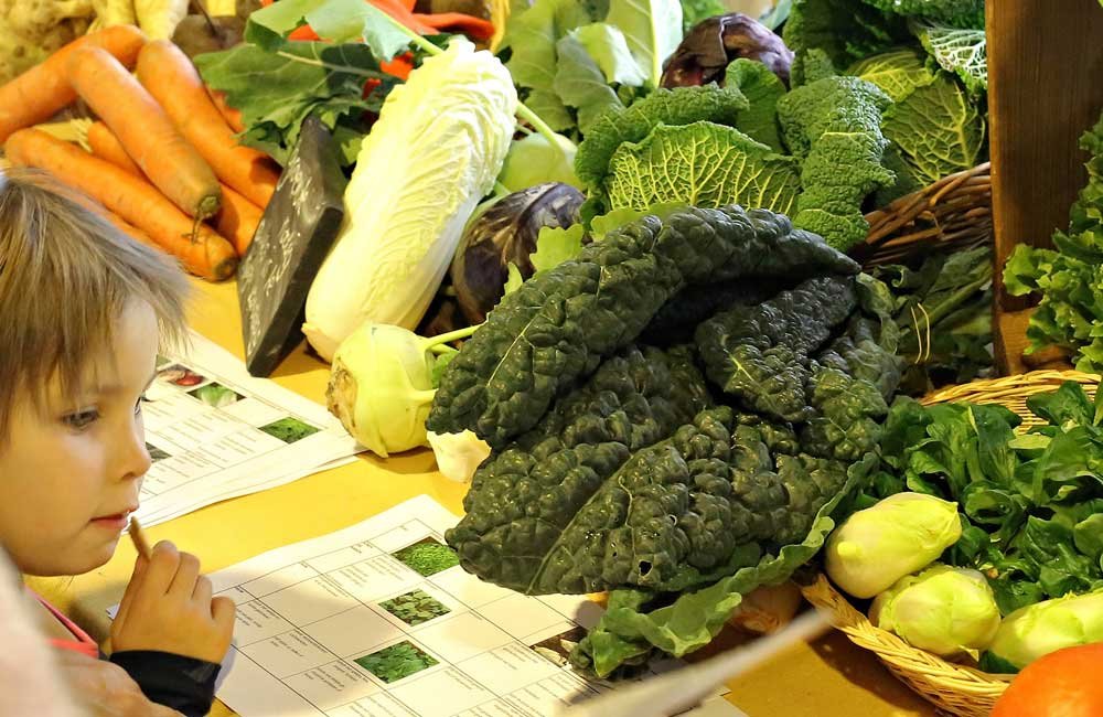 bewust-wonen-en-leven-4